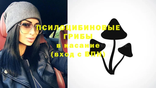 прущая мука Богданович
