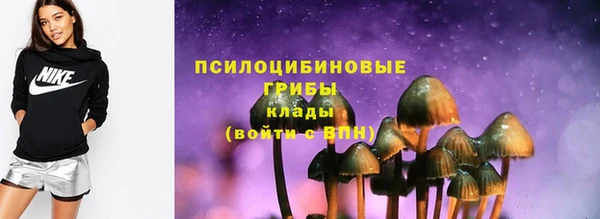 прущая мука Богданович