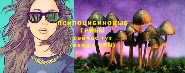 прущая мука Богданович