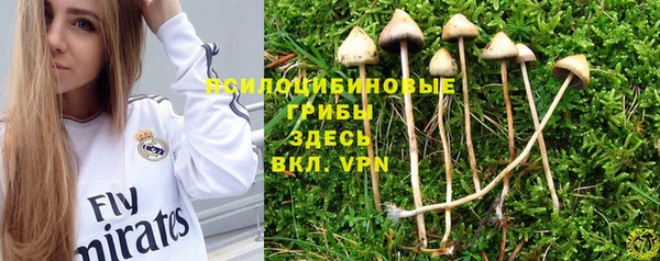 прущая мука Богданович