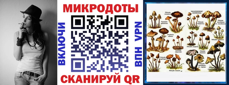 Галлюциногенные грибы Magic Shrooms закладки Северодвинск